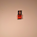 Dickies Pick Pocket - Orange