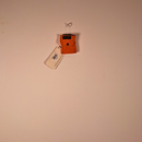 Wranglers Pick Pocket - Orange