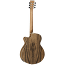 Tanglewood Acoustic Guitar,  Discovery: DBT SFCE PW