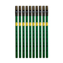 Feadog D Tin Whistle 10 Pack | Green D Tin Whistle
