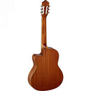Ortega Family Series Pro: RCE131 SN