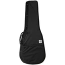 Tanglewood Acoustic Guitar: Dreadnought Foam Case