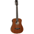 Tanglewood Winterleaf Series: TW2 TE