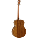 Tanglewood Acoustic Guitar,  Evolution Exotic: TWB Z