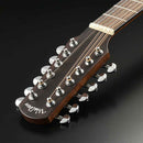 Walden D552E Natura 12 String Electro Acoustic Guitar Hedstock