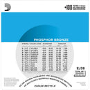 D'Addario EJ38 Phosphor Bronze Acoustic 12 String 10-47