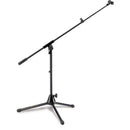 Hercules Stands: Mini Boom (Long Boom)